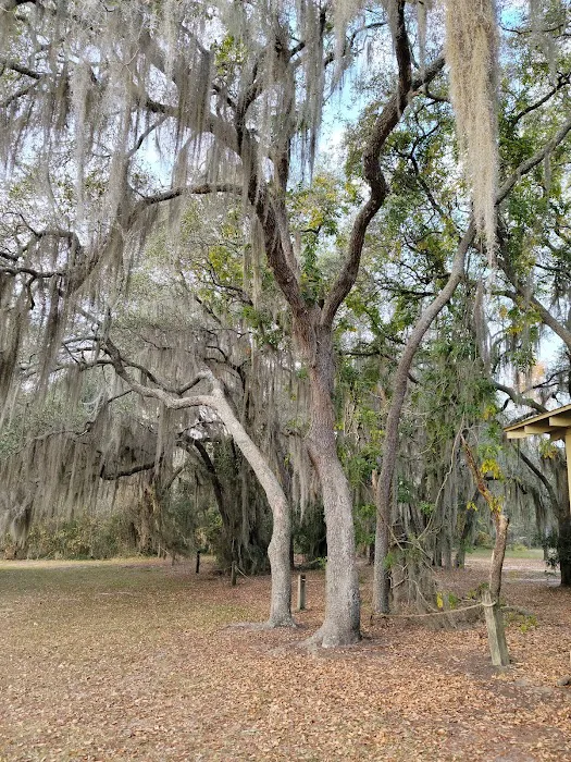 Reed Bingham State Park - Campground Picture 9