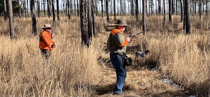 Upland Feathers Lodge Picture 1