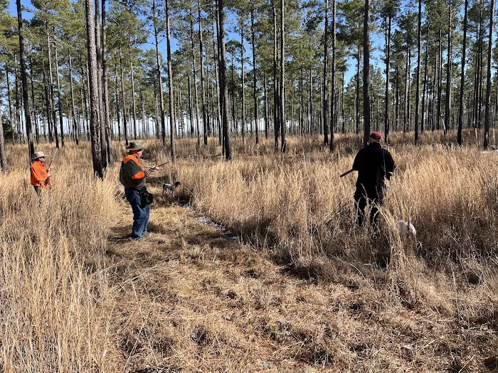 Upland Feathers Lodge Picture 4