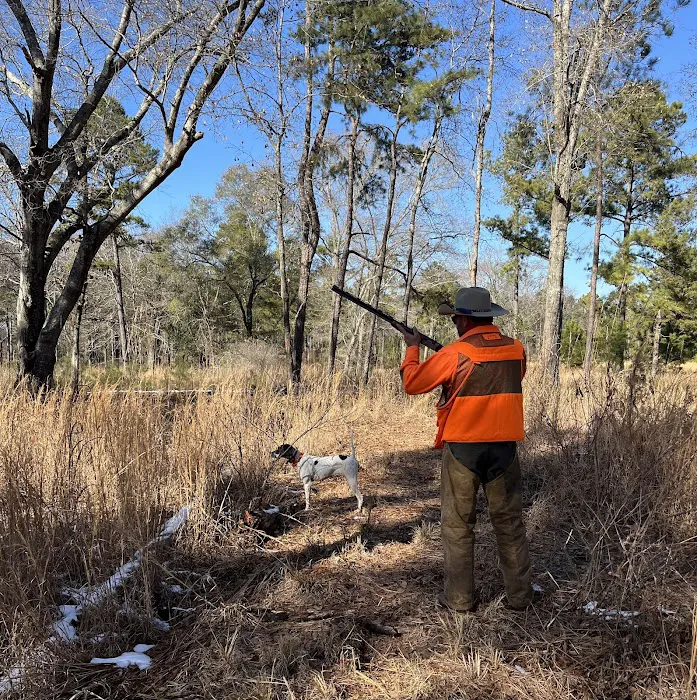 Upland Feathers Lodge Picture 5