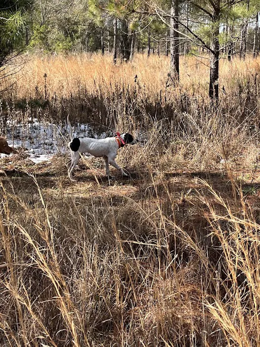 Upland Feathers Lodge Picture 2