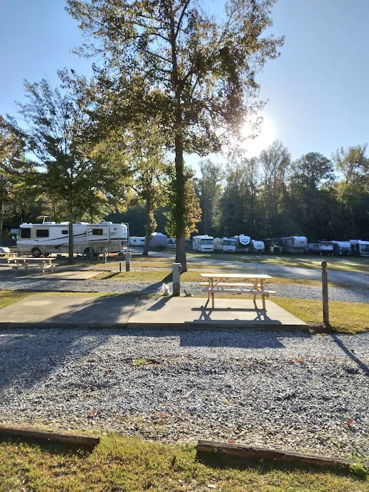 Lake Pines RV Park & Campground Picture 4