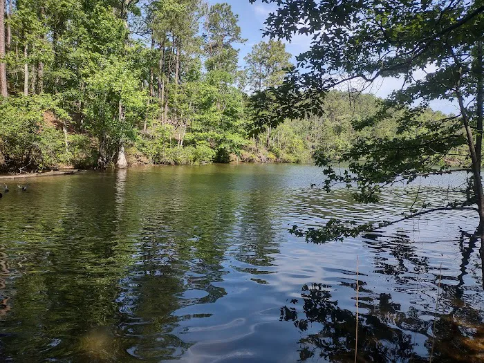 Dare Park Point Picture 4