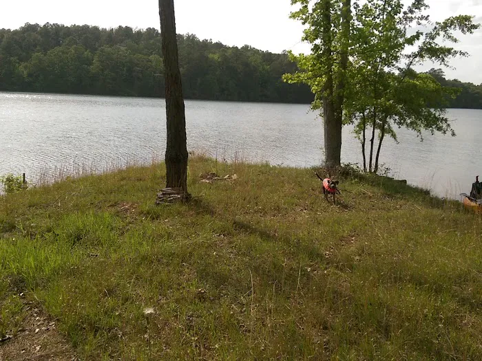 Dare Park Point Picture 3