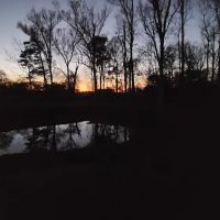 Guntersville RV Park ico