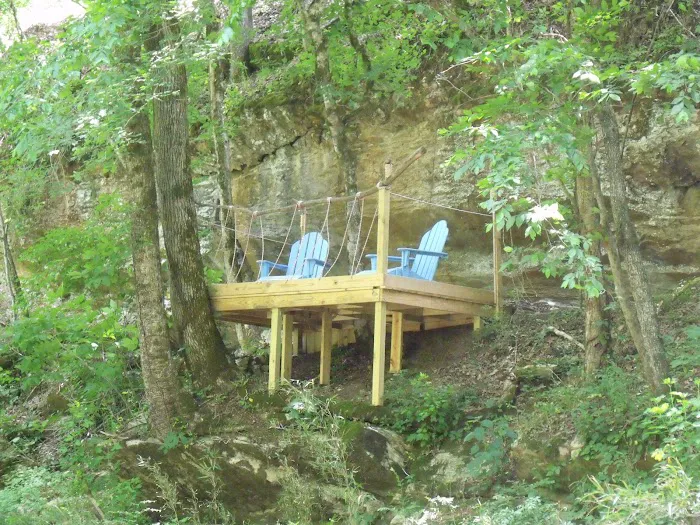 Bear Claw Treehouse Picture 6