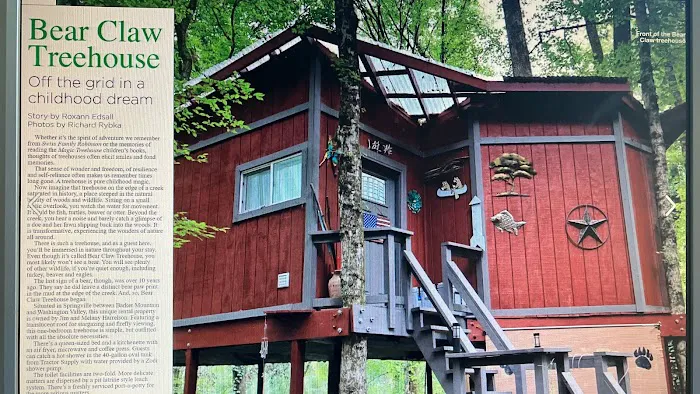 Bear Claw Treehouse Picture 3