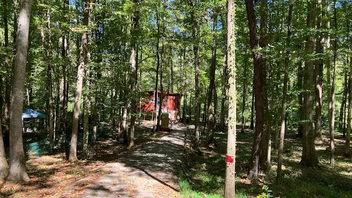 Bear Claw Treehouse Picture 5