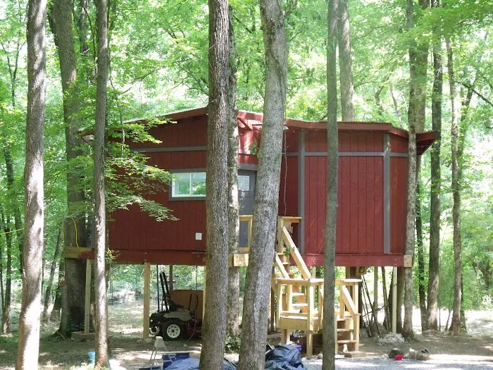 Bear Claw Treehouse Picture 9