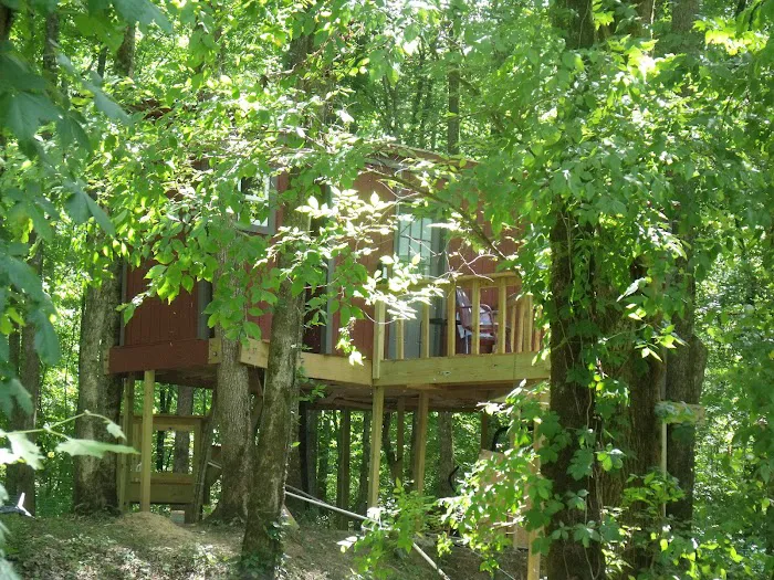 Bear Claw Treehouse Picture 8