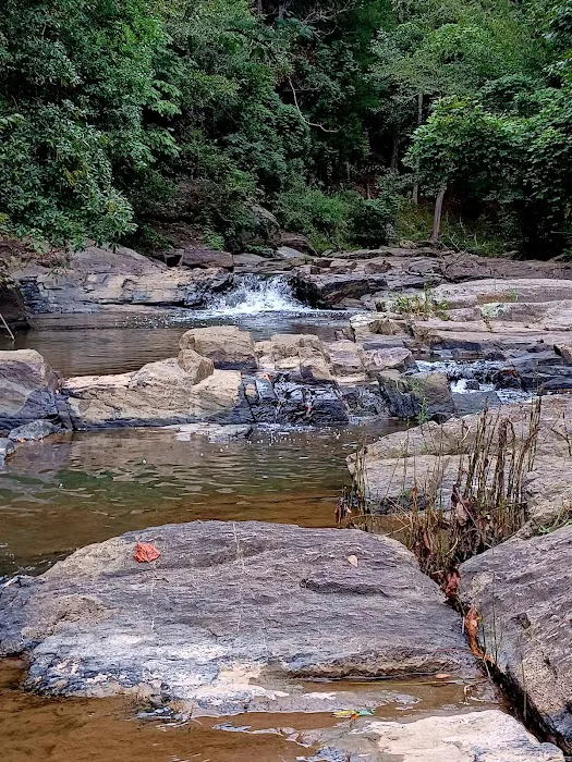 Chewacla State Park Campground Picture 5