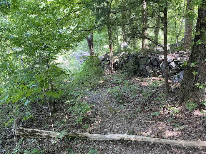 Chewacla State Park Campground Picture 9