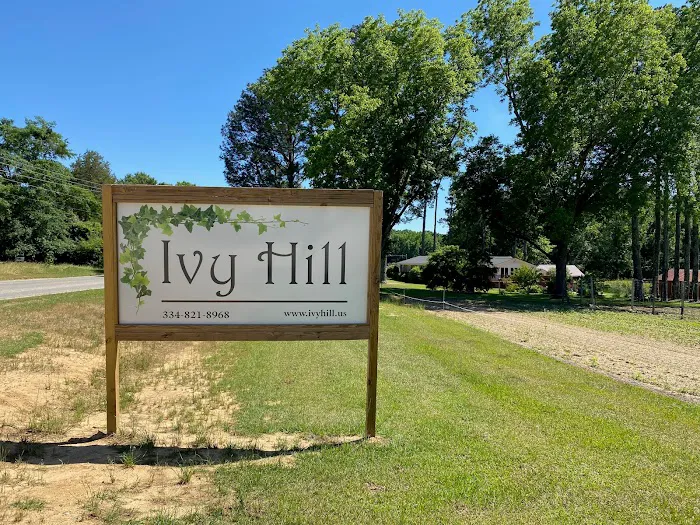 Ivy Hill Picture 3