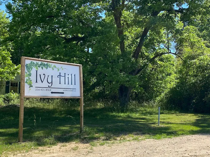 Ivy Hill Picture 4