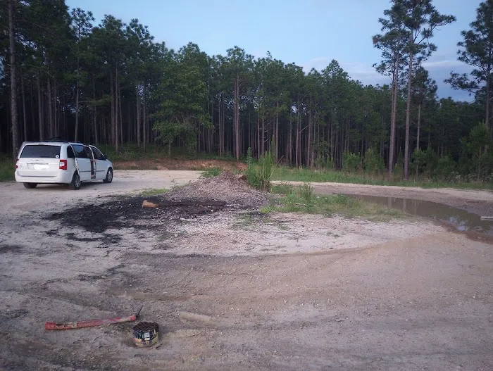 Tuskegee National Forest Campsite #8 Picture 9