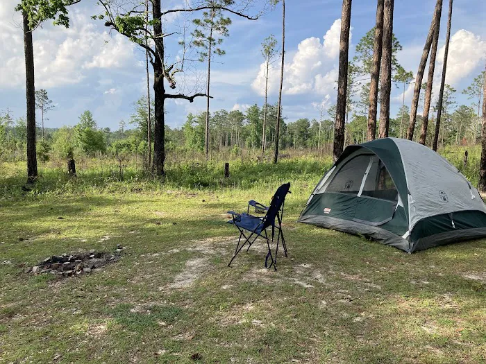 Tuskegee National Forest Campsite #8 Picture 10