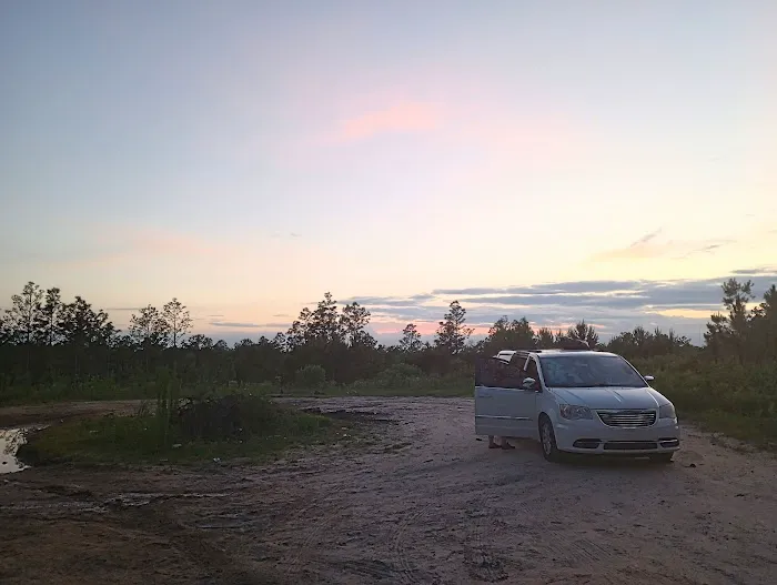 Tuskegee National Forest Campsite #8 Picture 7