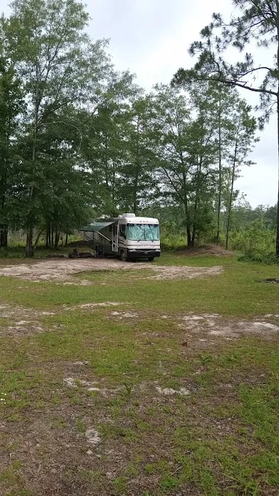 Tuskegee NF Tent Site #6 Picture 3