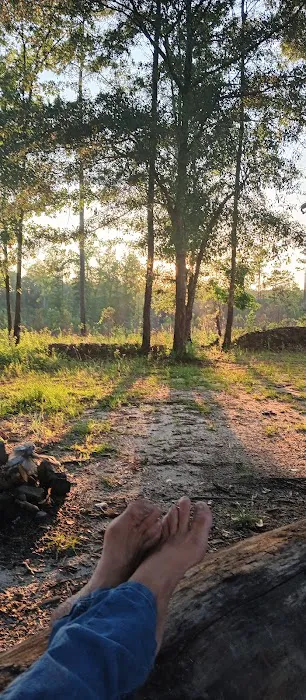 Tuskegee NF Tent Site #6 Picture 5