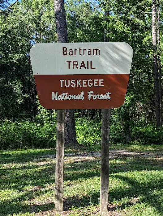 Tuskegee National Forest Campsite #11 Picture 3