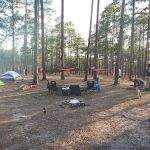 Tuskegee National Forest Campsite 12