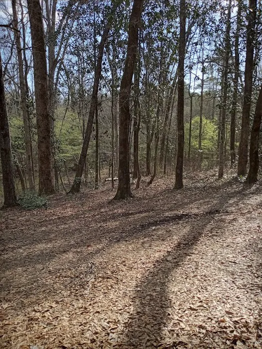 Tuskegee National Forest Campsite #1 Picture 1