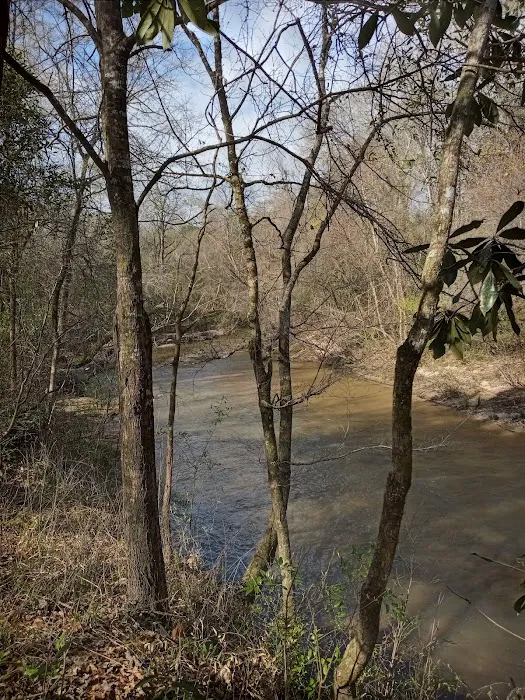 Tuskegee National Forest Campsite #1 Picture 2