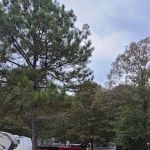 Kudzu R V Park and Campground