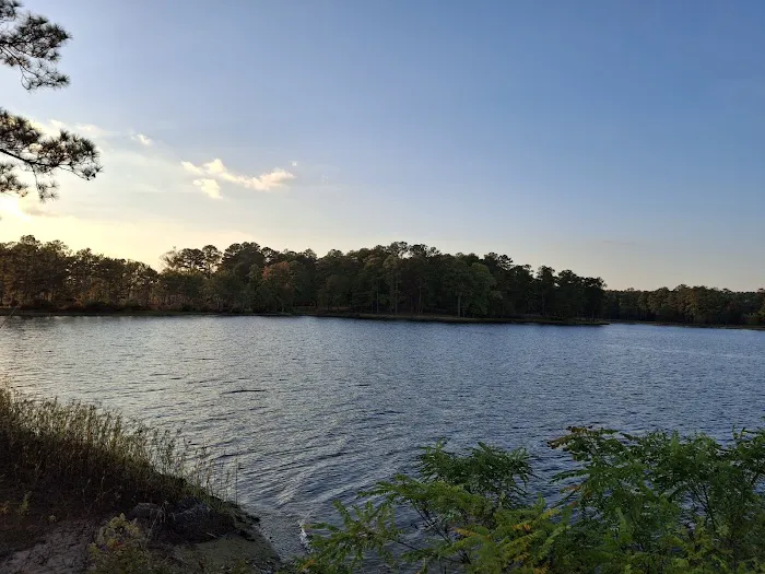 Wind Creek State Park Equestrian Campground Picture 1