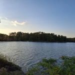 Wind Creek State Park Equestrian Campground