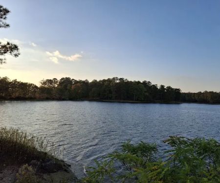 Wind Creek State Park Equestrian Campground