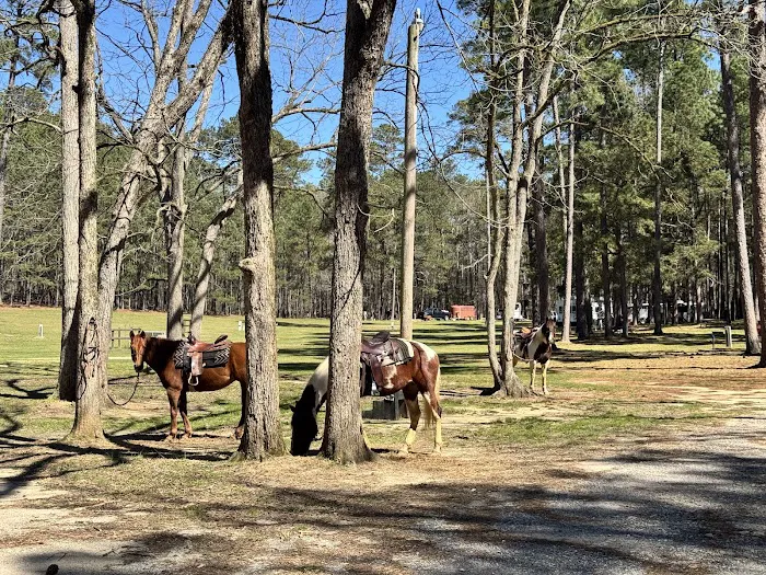 Wind Creek State Park Equestrian Campground Picture 10