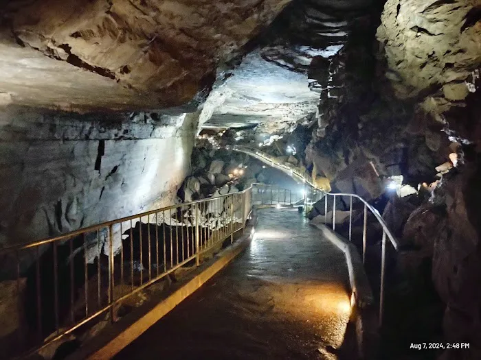 Cathedral Caverns State Park Campground Picture 2
