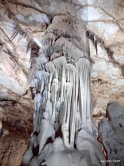 Cathedral Caverns State Park Campground Picture 6