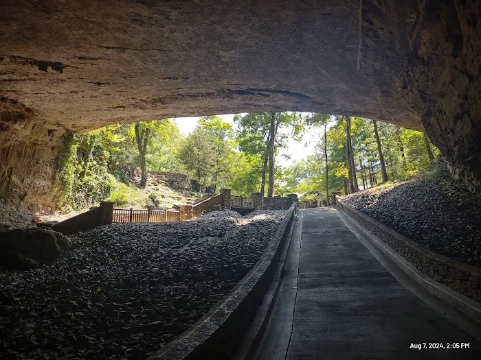 Cathedral Caverns State Park Campground Picture 4