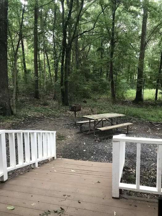 Little Mountain Marina-Camping Picture 8