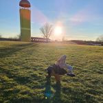 Little Mountain Marina-Camping