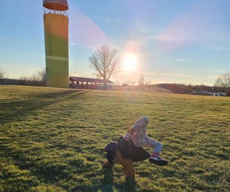 Little Mountain Marina-Camping