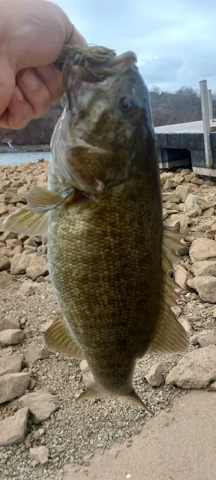 Tims Ford Turkey Creek Campground Picture 5