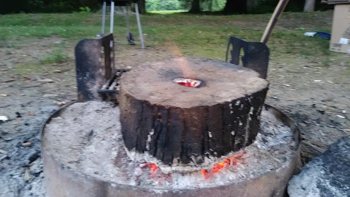 Tims Ford Turkey Creek Campground Picture 8