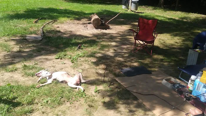 Tims Ford Turkey Creek Campground Picture 7