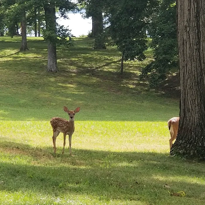 Arnold Air Force Base FamCamp Main Office Picture 9