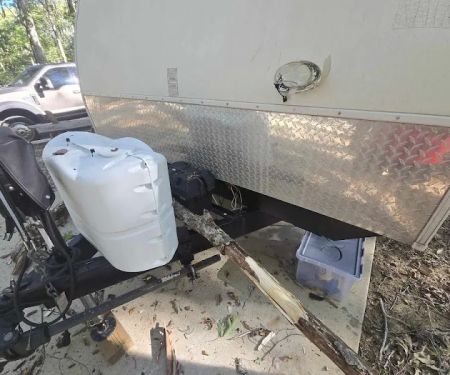 The Forest at Tims Ford