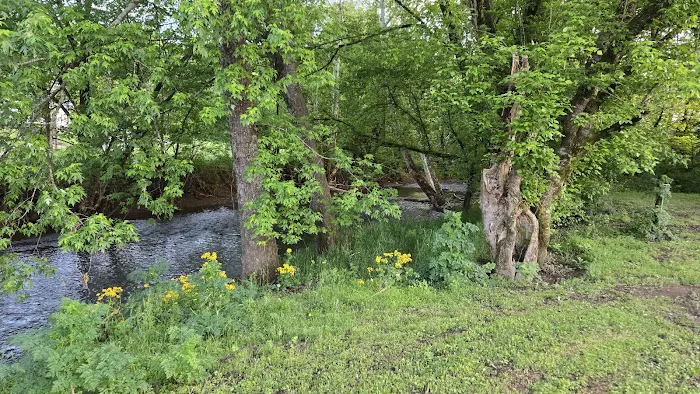 Lynchburg Campground Picture 6