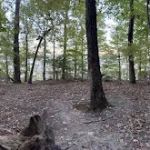 Tims Ford State Park Lost Creek Campsite