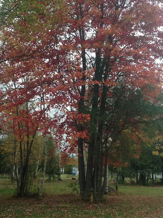 Clear Lake Campground Picture 1