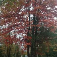 Clear Lake Campground ico