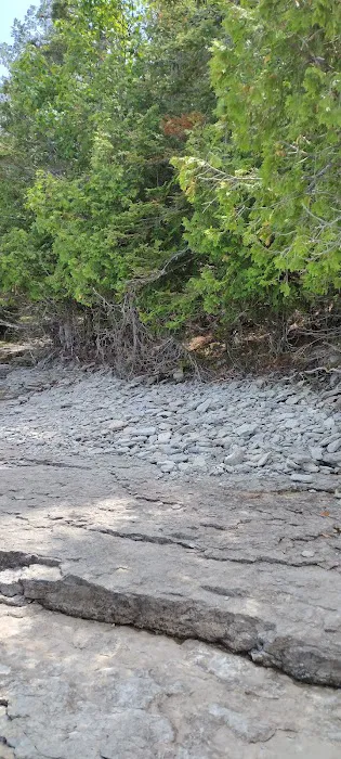 Trailhead Bar, Restaurant, and Campground Picture 1