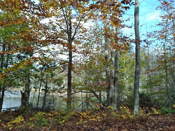 Garnet Lake Campground Picture 5