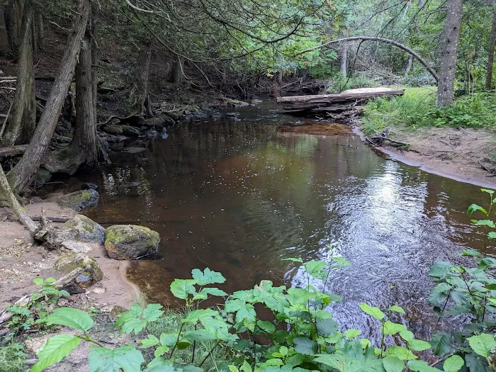 Black River State Forest Campground Picture 3